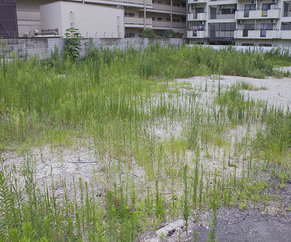 土地活用にはさまざまな方法があります。